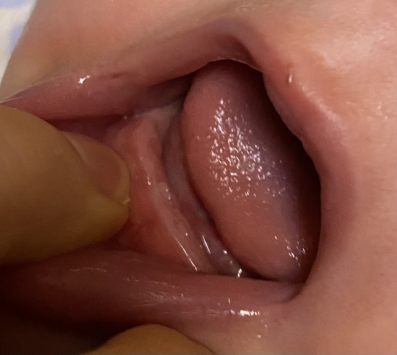 پارچه-خاطره-ها-51631