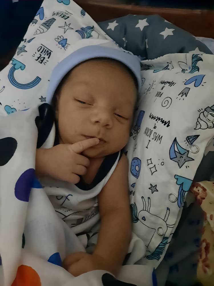 غذا شاهان سنگانی