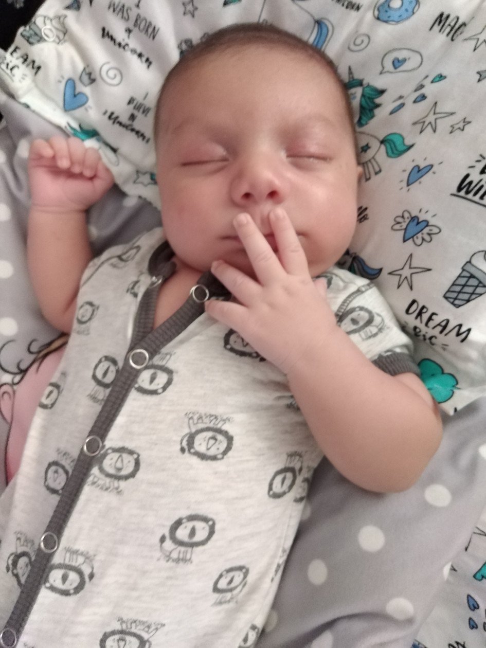 غذا شاهان سنگانی