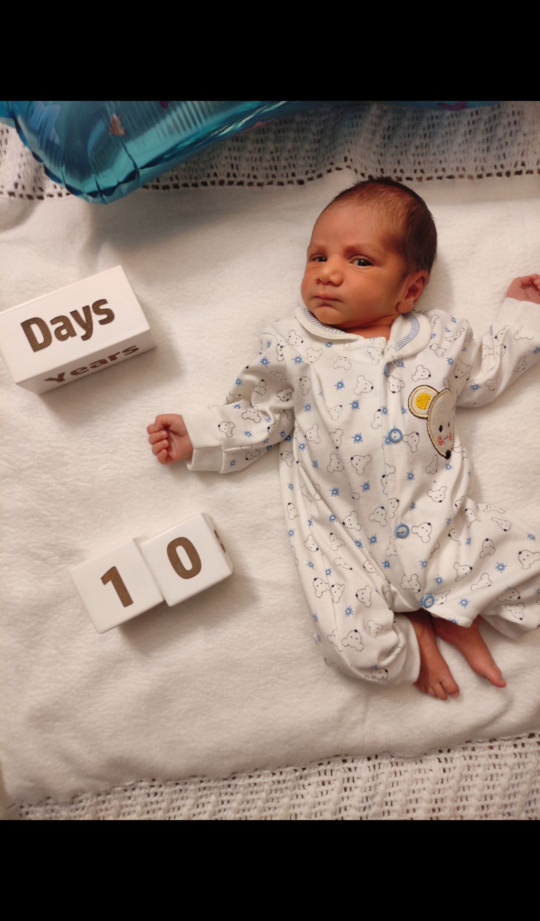 پاییز مانی فروغی