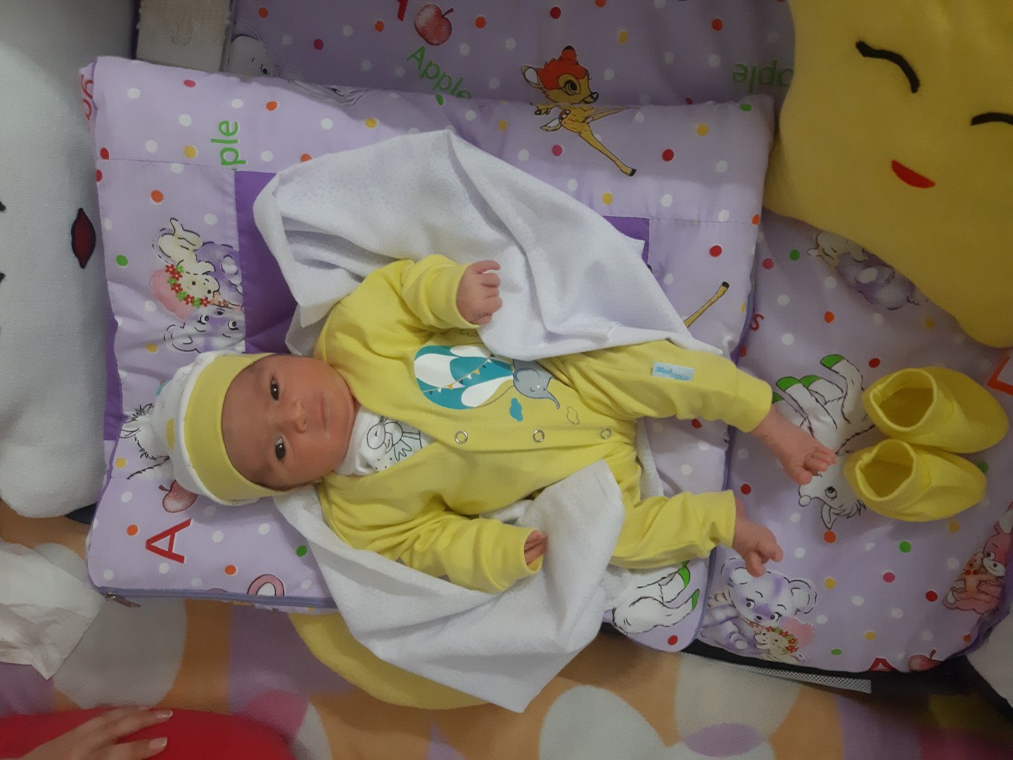 یک ماهگی نوزاد سوین نورا