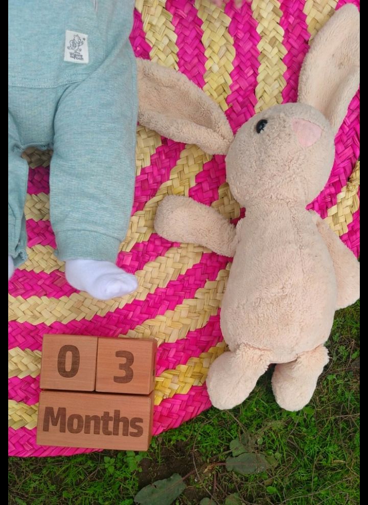 سه-ماهگی محمدرسا