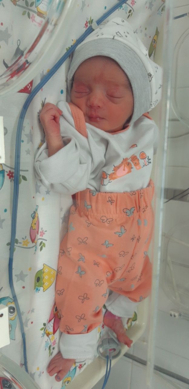 متولد شدن نوزاد پناه حیدری