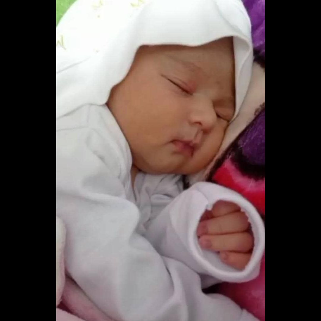 صورت پناه فیضی