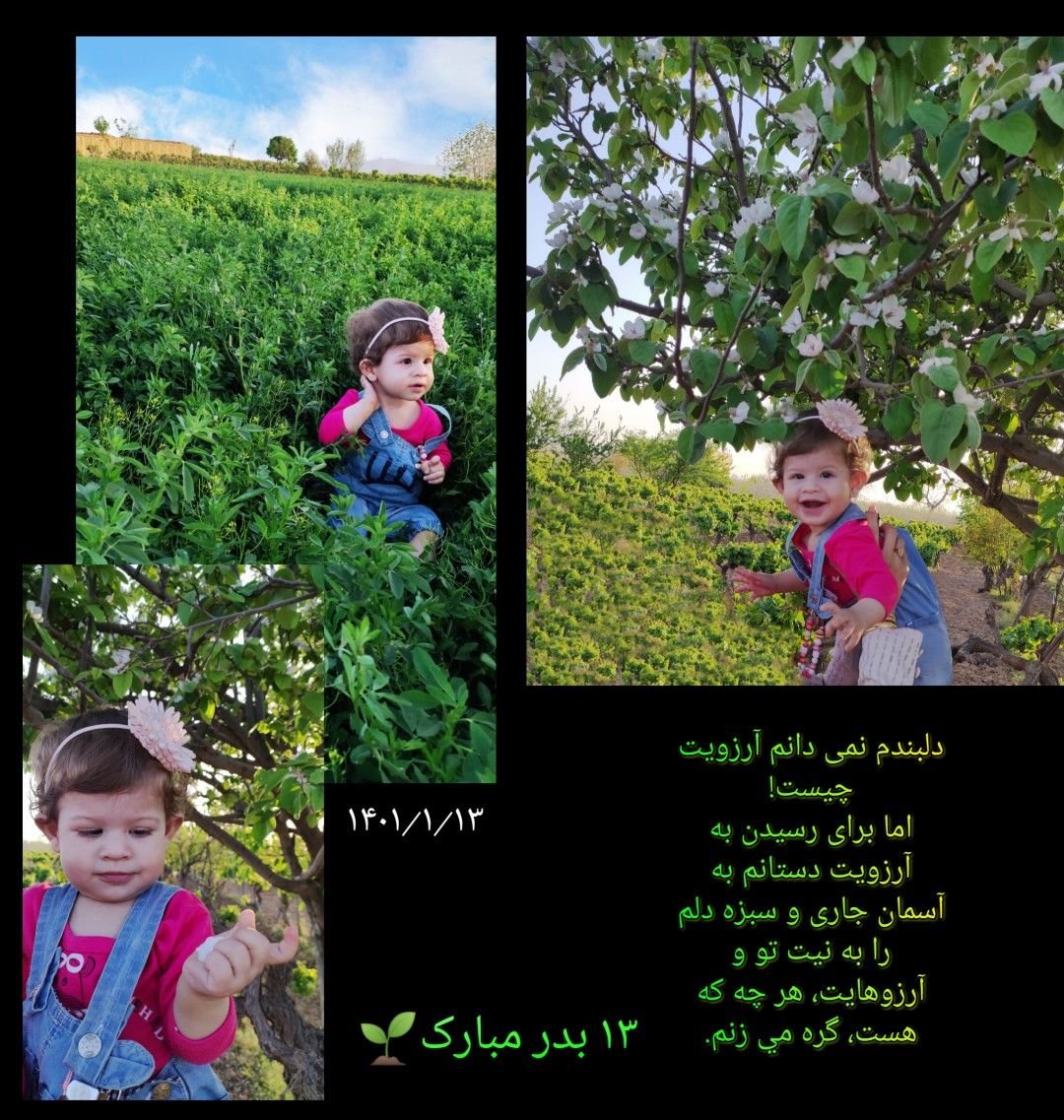 عشق روشان