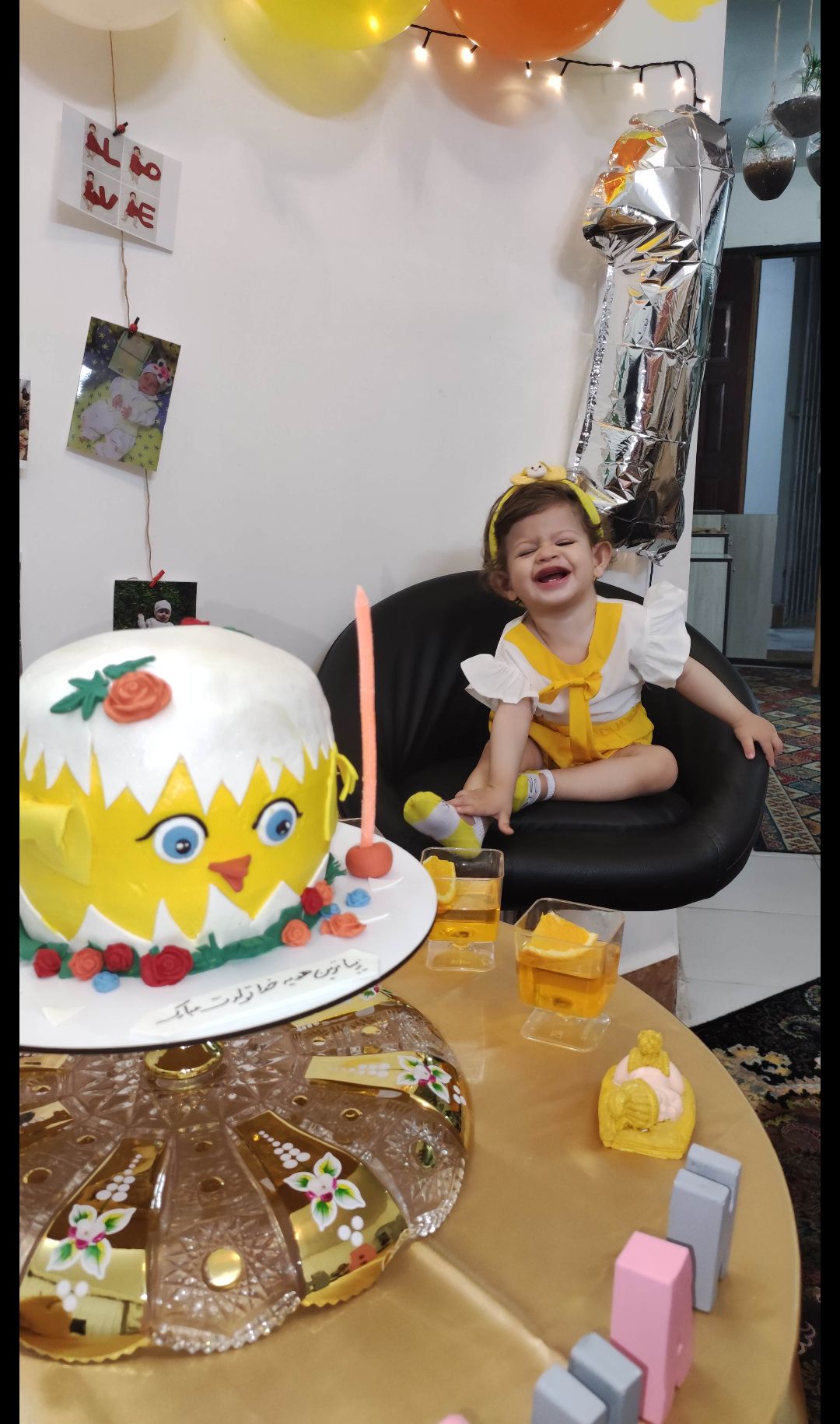 تم-جوجه روشان