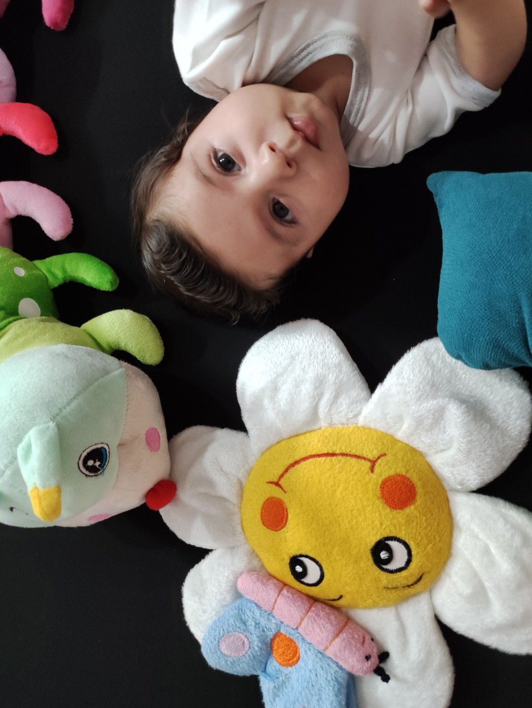 عکس نوزاد پسر پرهام جهانگرد