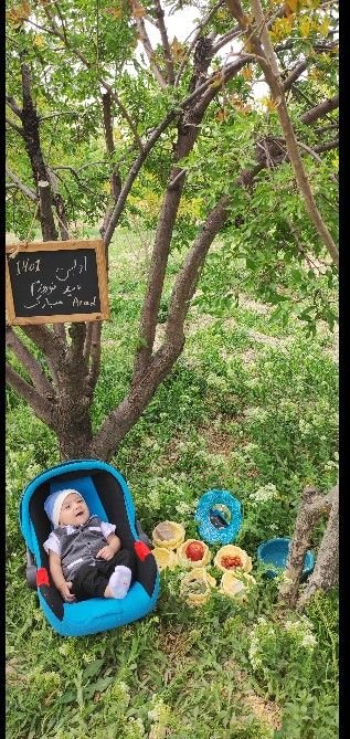 اولین بهار من آراد مرادی