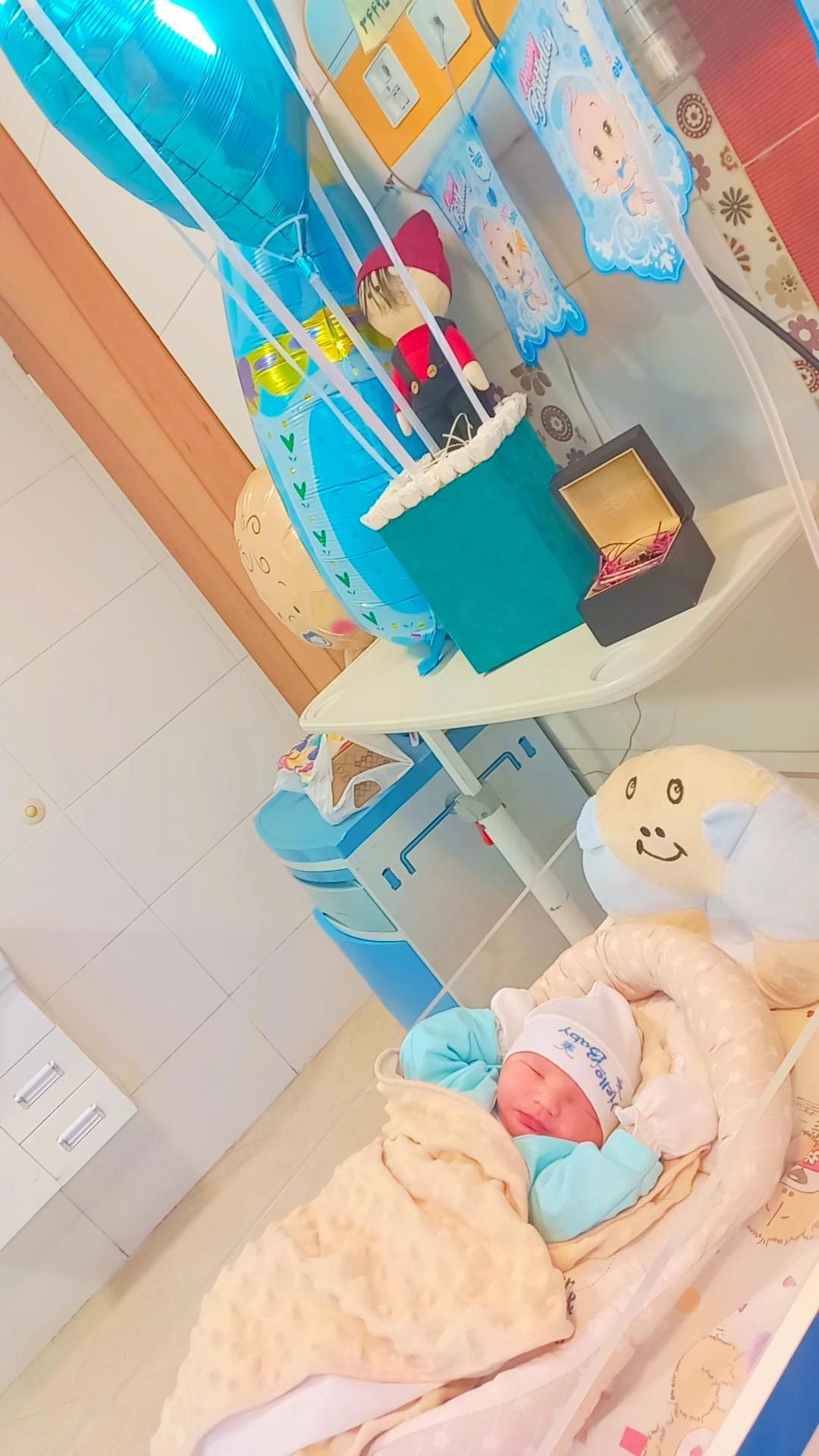 متولد شدن نوزاد آکای خجسته