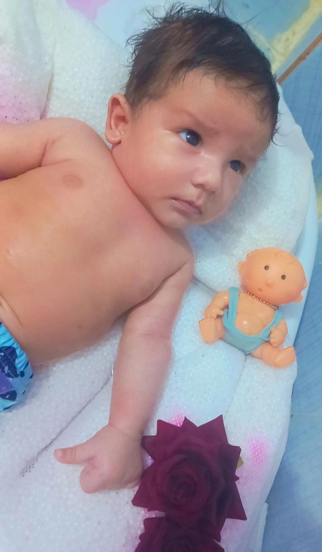 گوگولی آکای خجسته