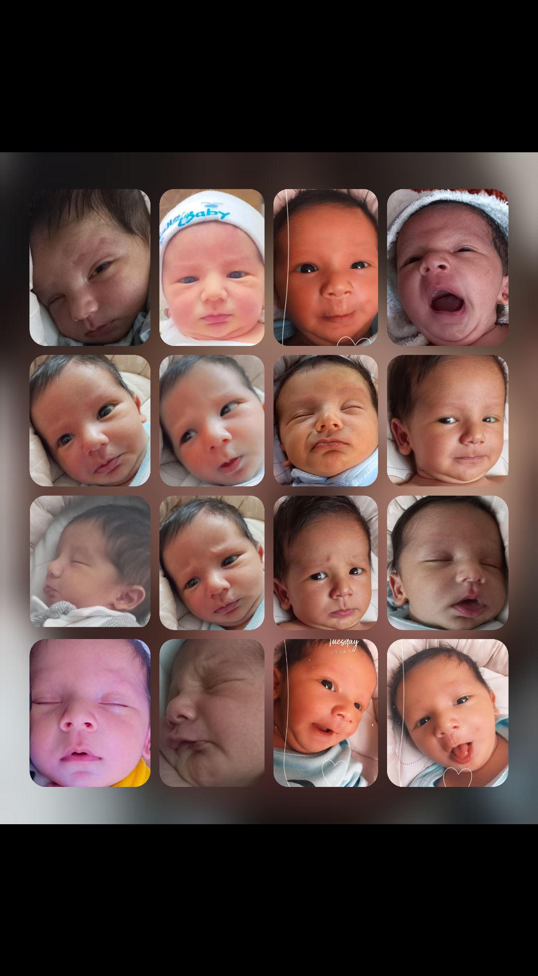 جهت-ایده آکای خجسته