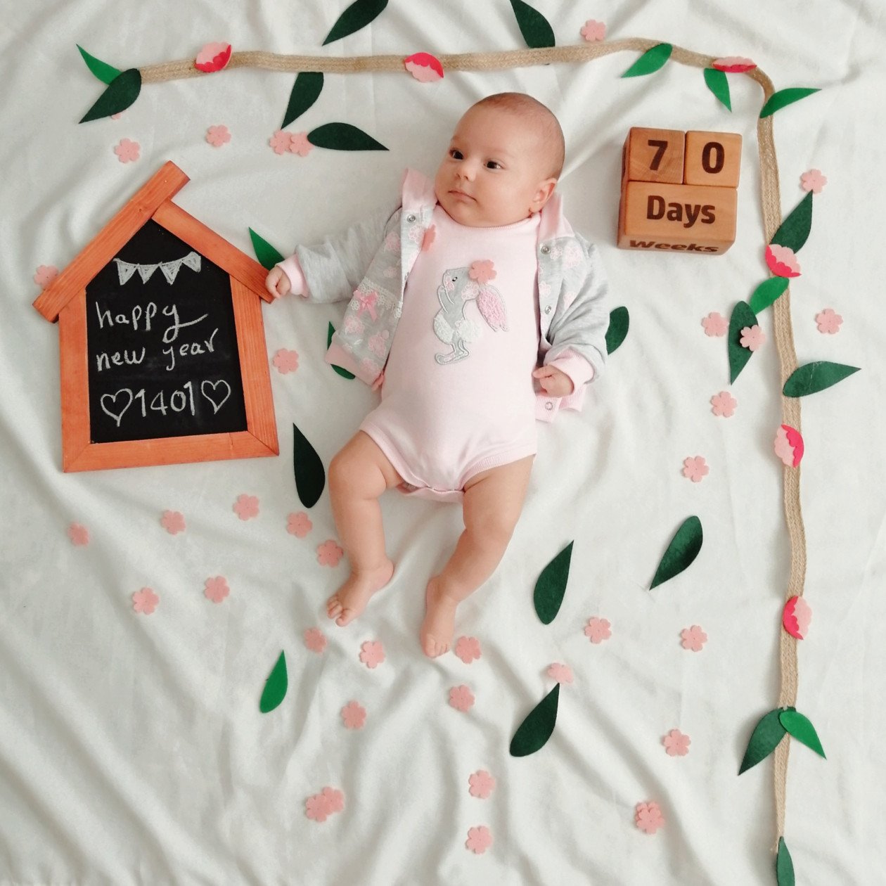 عید نوروز ویان مولودی آذر