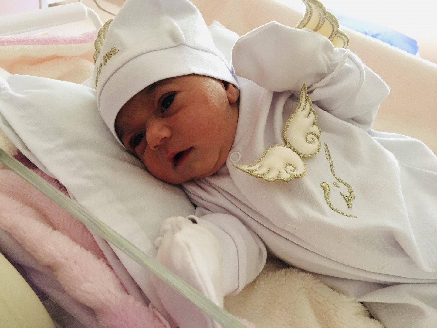 متولد شدن نوزاد گندم گراوند