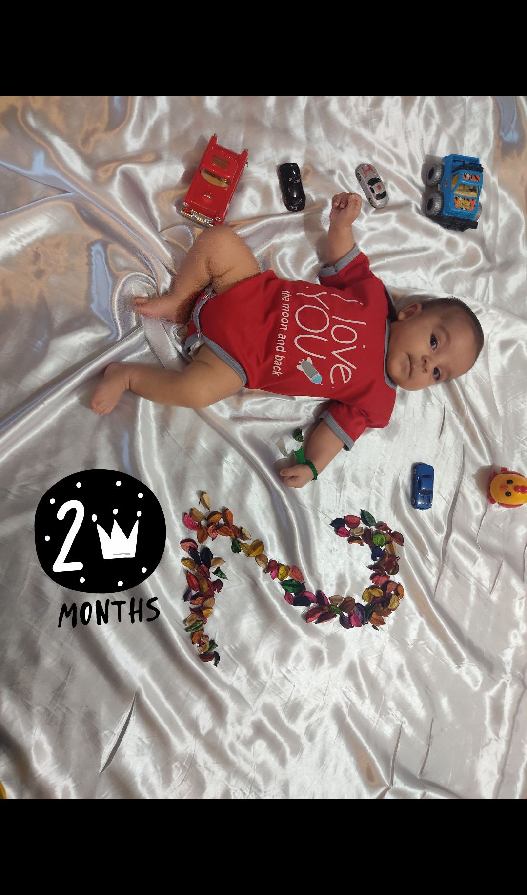 اجزای-صورت سامین آزاد