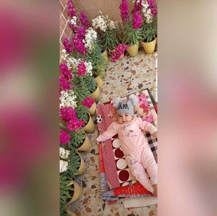 عکس سیزده بدر آوا مانیان