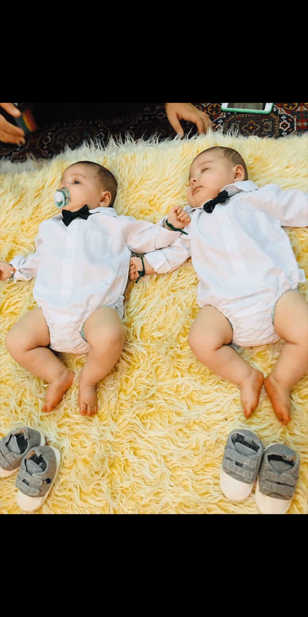 غلتیدن نوزاد آرنیک و نیکان