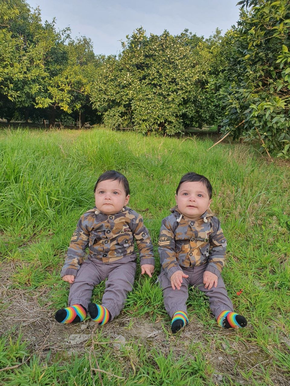 ایستادن نوزاد آرنیک و نیکان