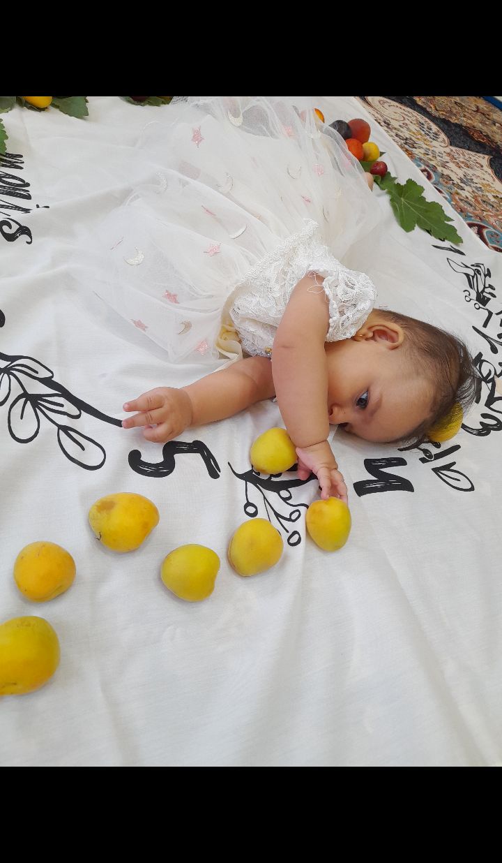 عکاسی با میوه نهال پورصمد