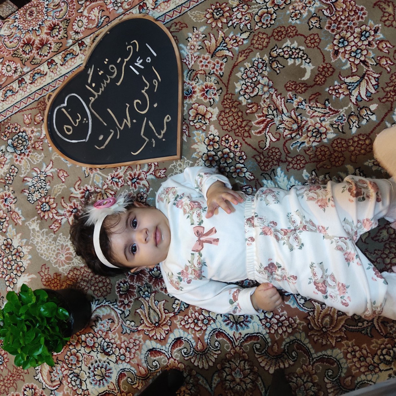 تخته سیاه قلب پناه تحسینی