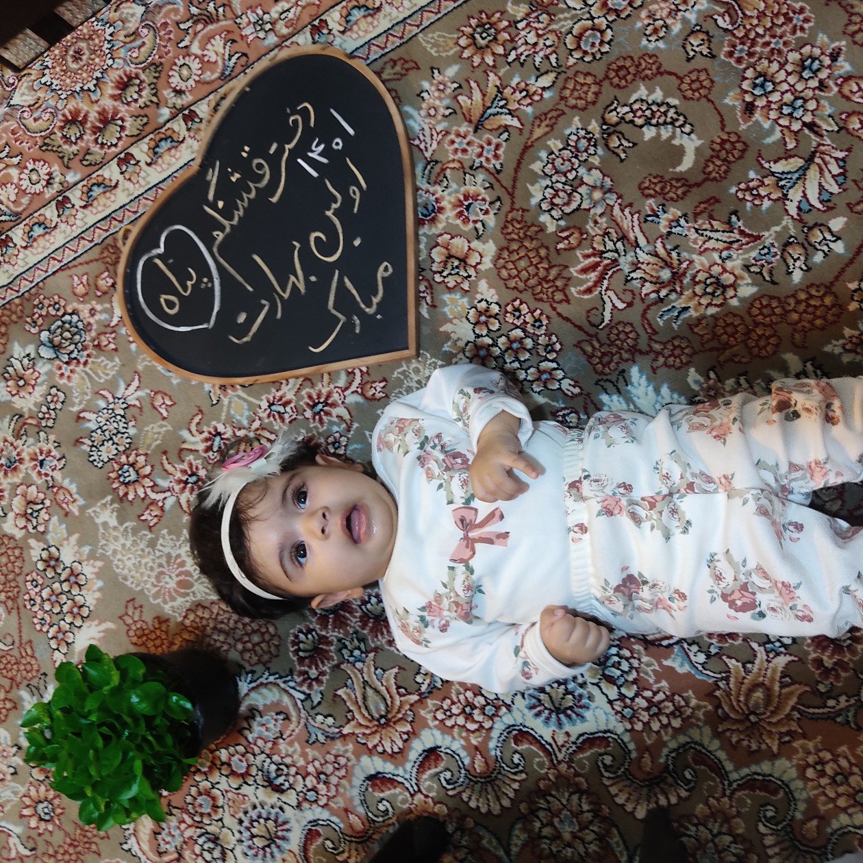 تخته سیاه قلب پناه تحسینی