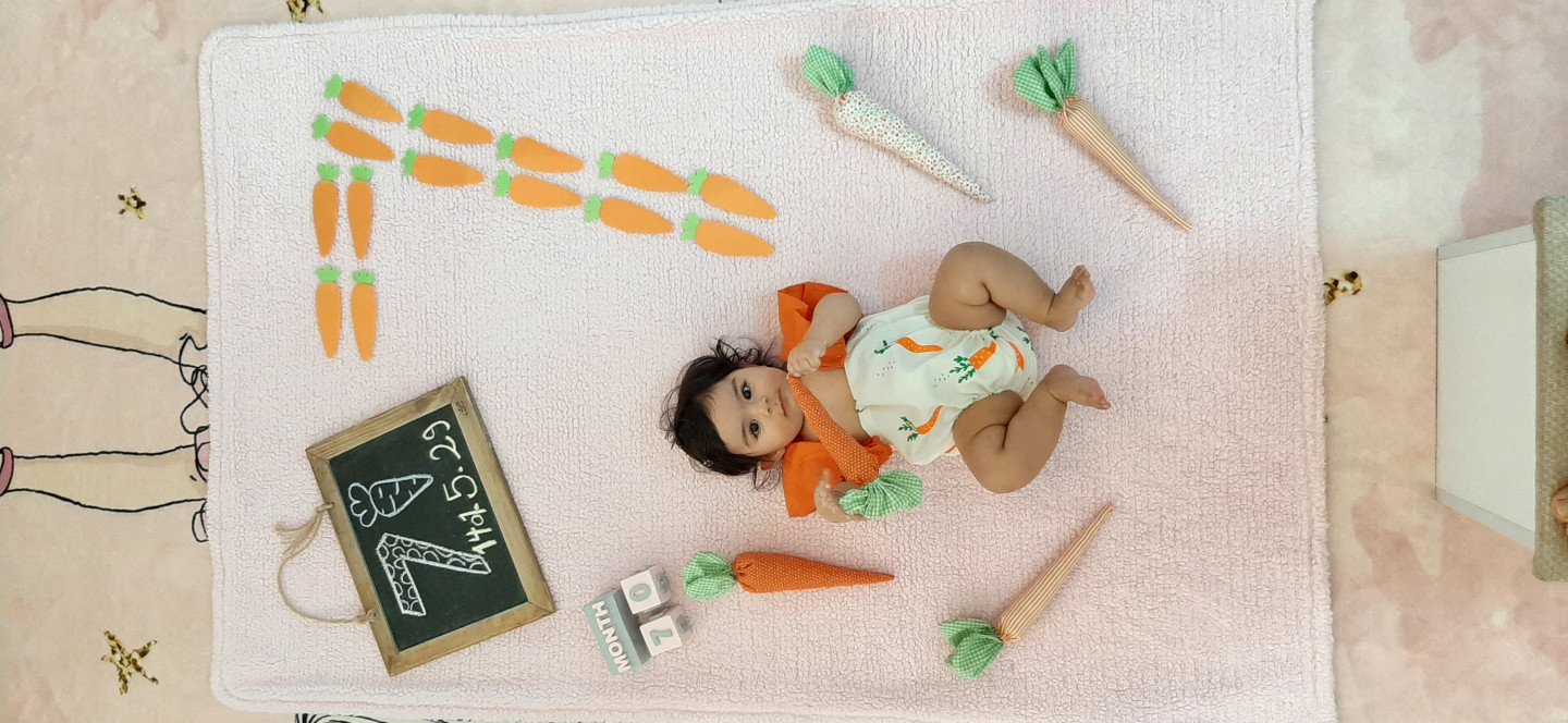 لباس عکاسی هویج حلما زینعلی