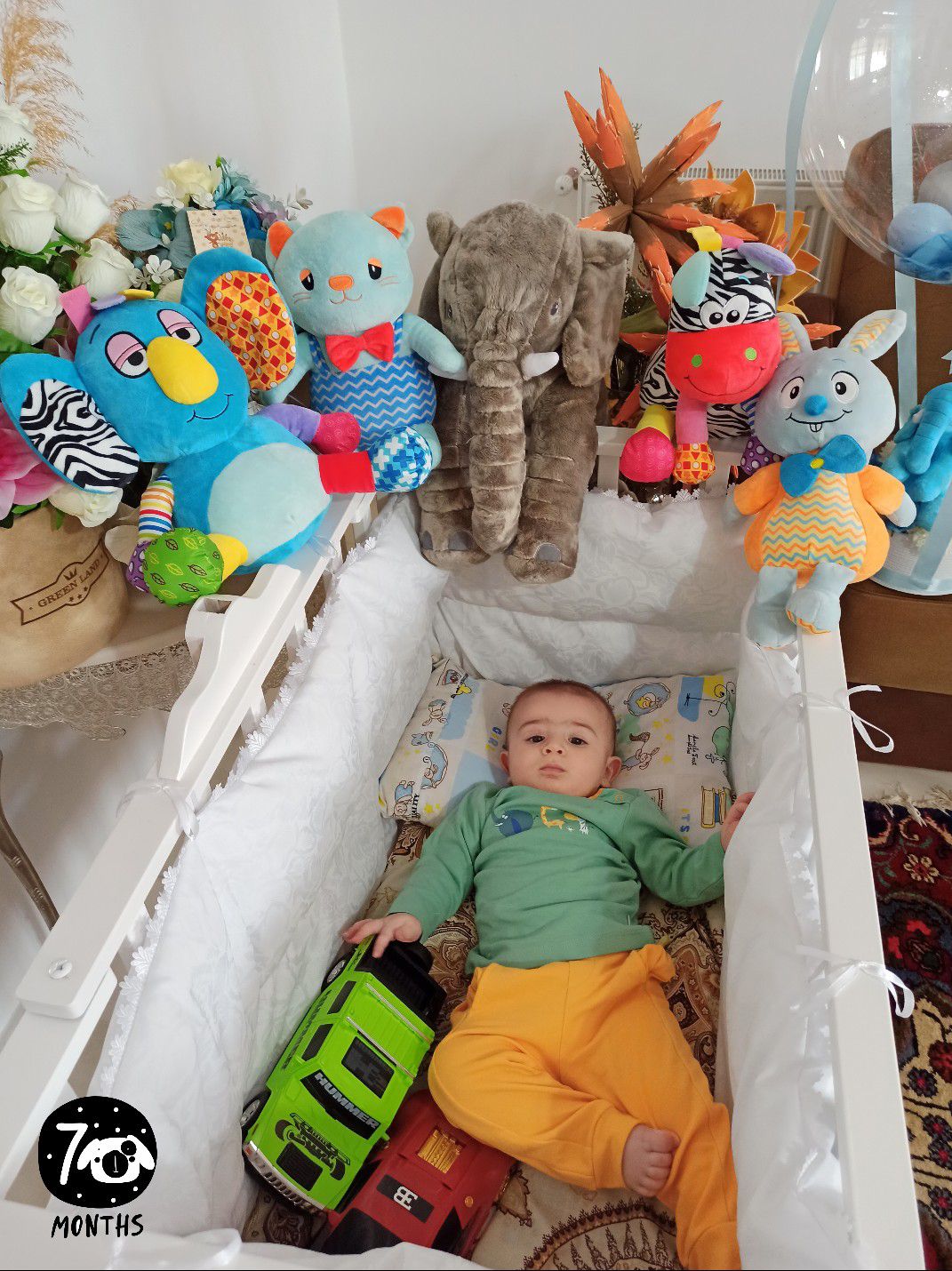 هفت-ماهگیت-مبارک کیان سلیمانی