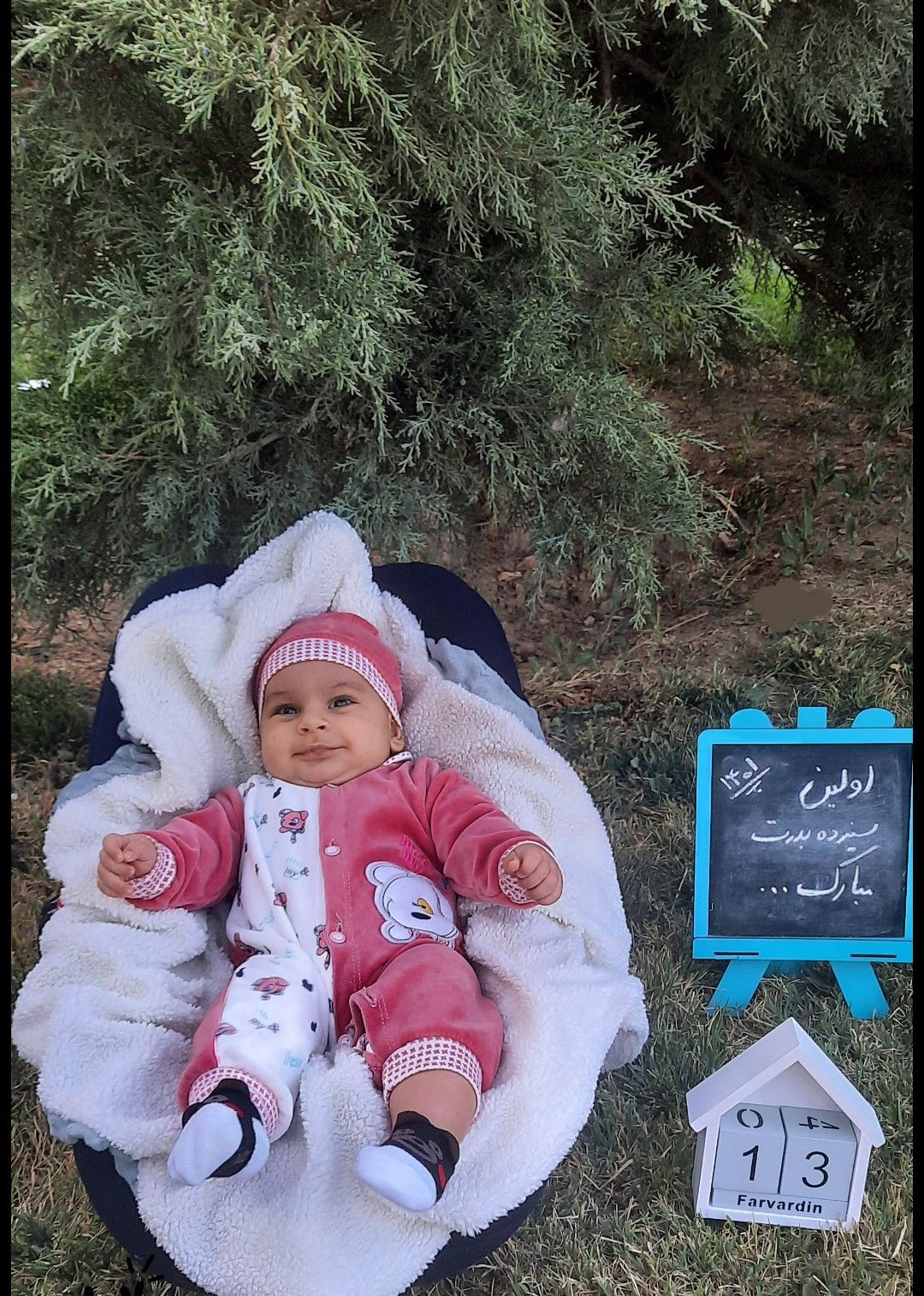 اولین-بهار-من مهراد