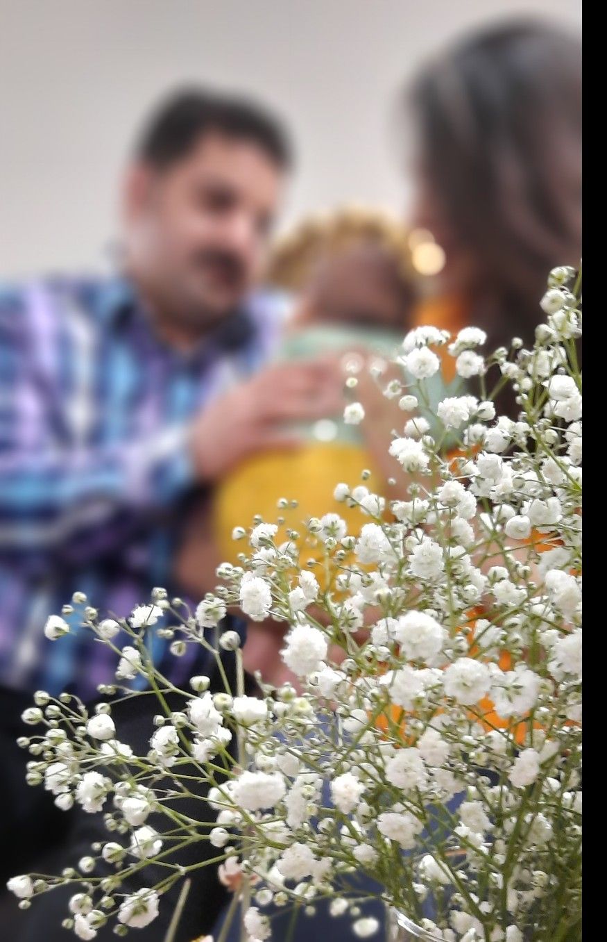 عید نوروز مهراد