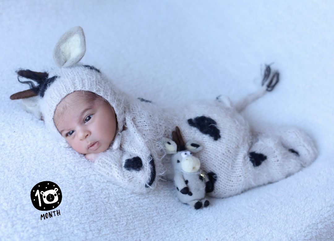 تم-گاو مهراد