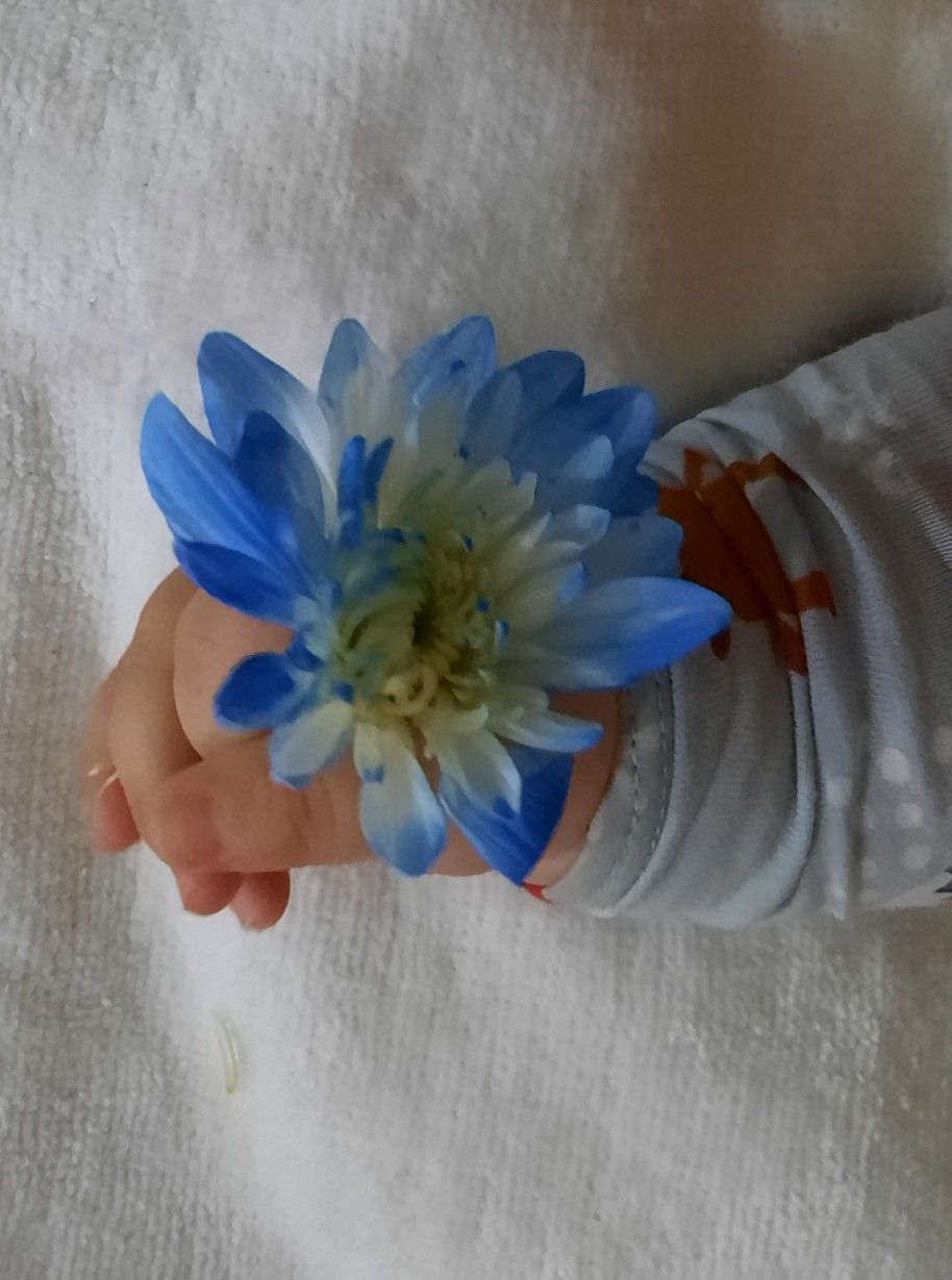 پسر-ناز مهراد