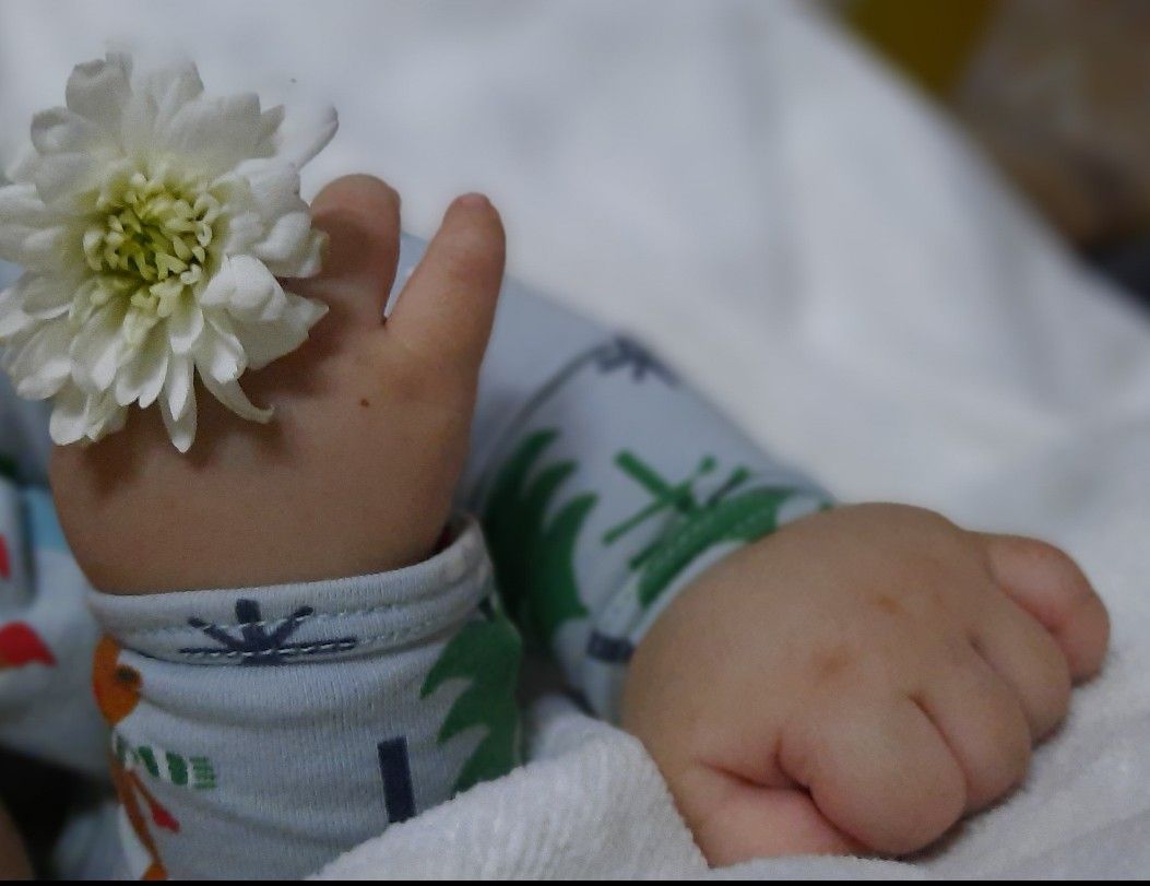 گوگولی مهراد