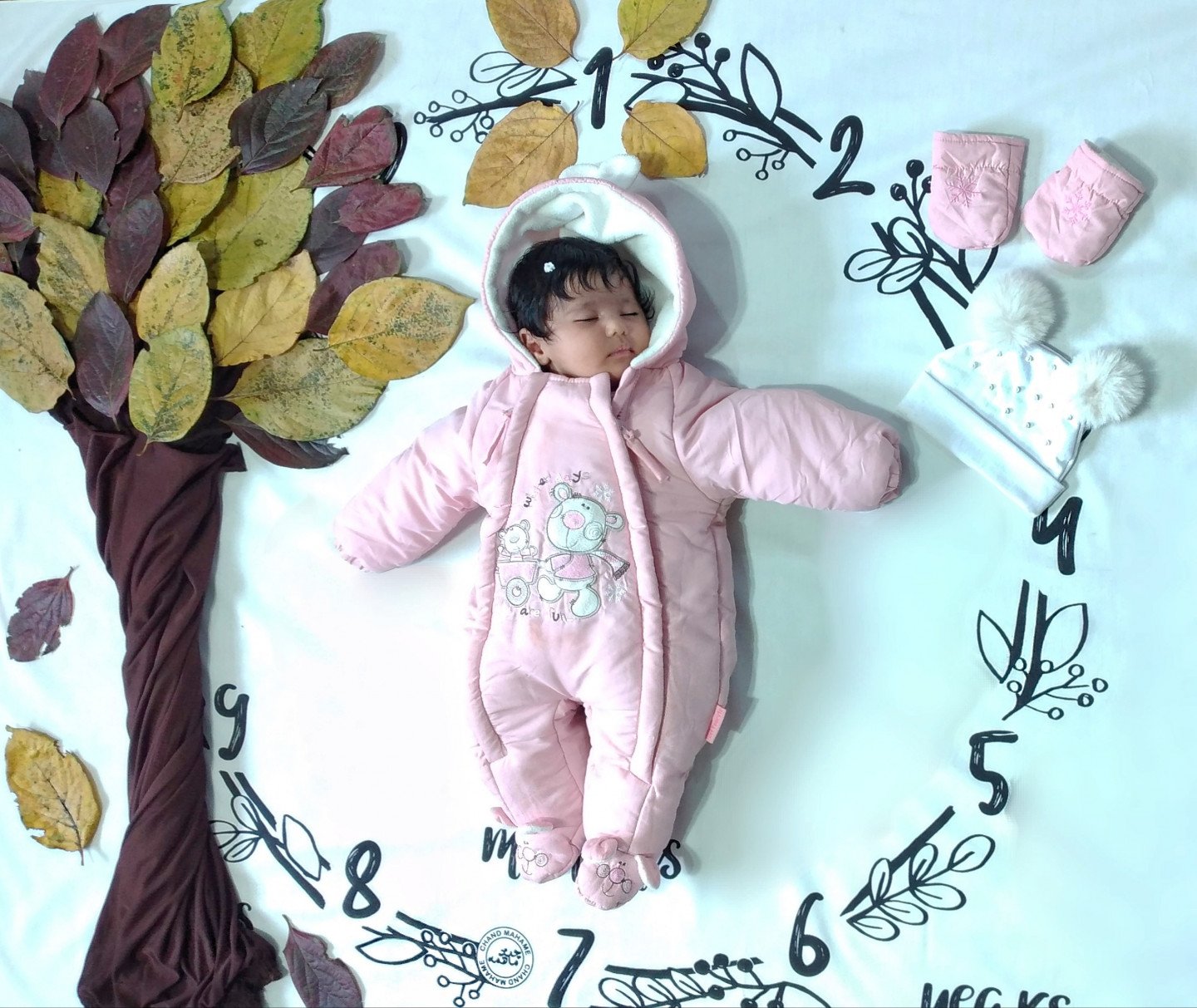 یک ماهگی نوزاد اسرا عبدی