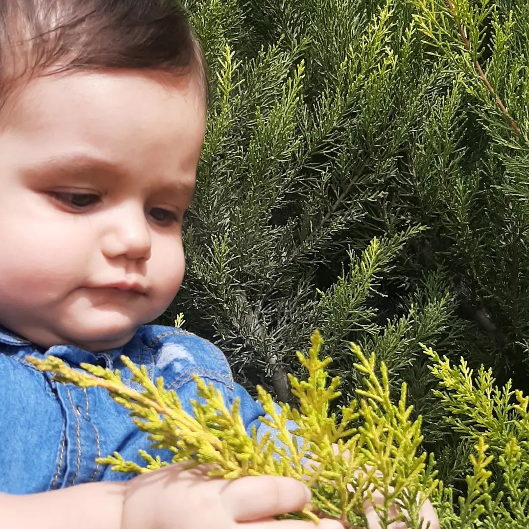 عکس سیزده بدر نلین