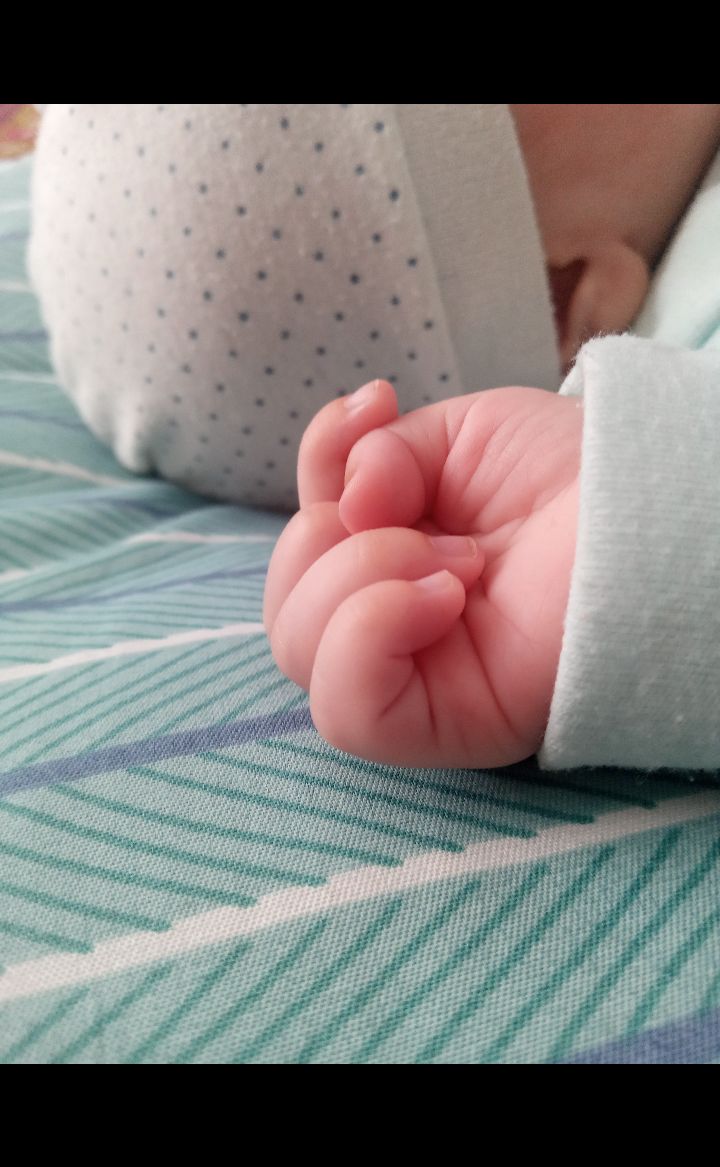 لالا کردنم امیرحسین