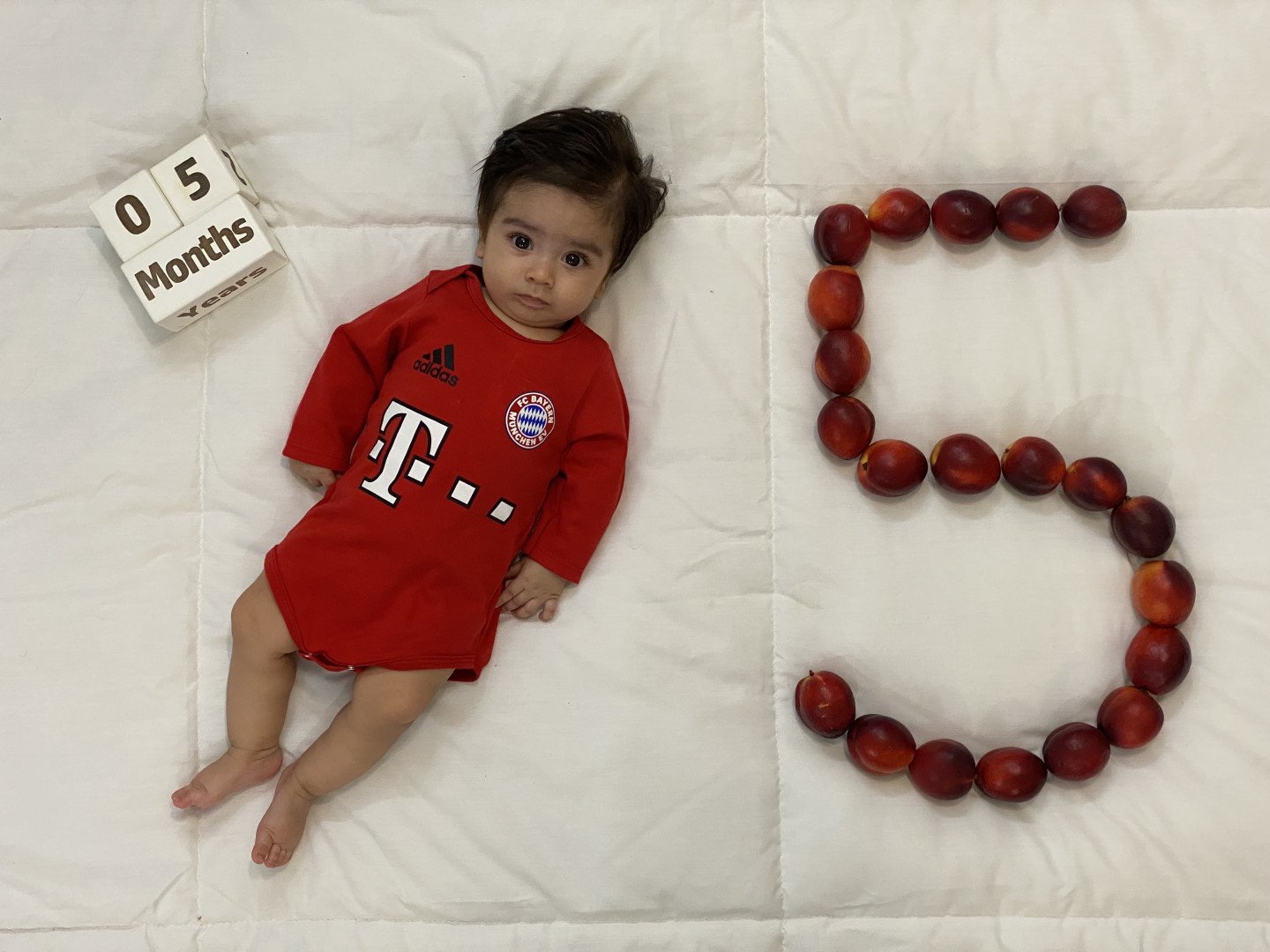 ایده محمدرضا مهرجو