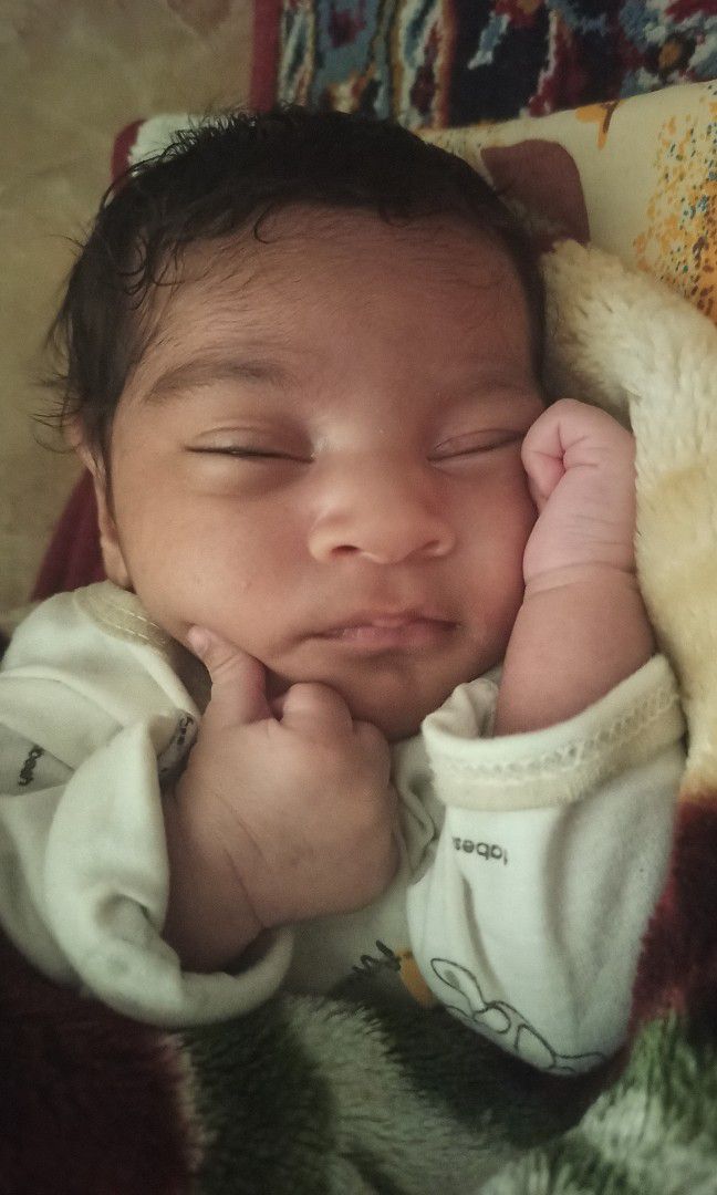 عکس-شناسنامه محمدمهدیارآزادگرمی