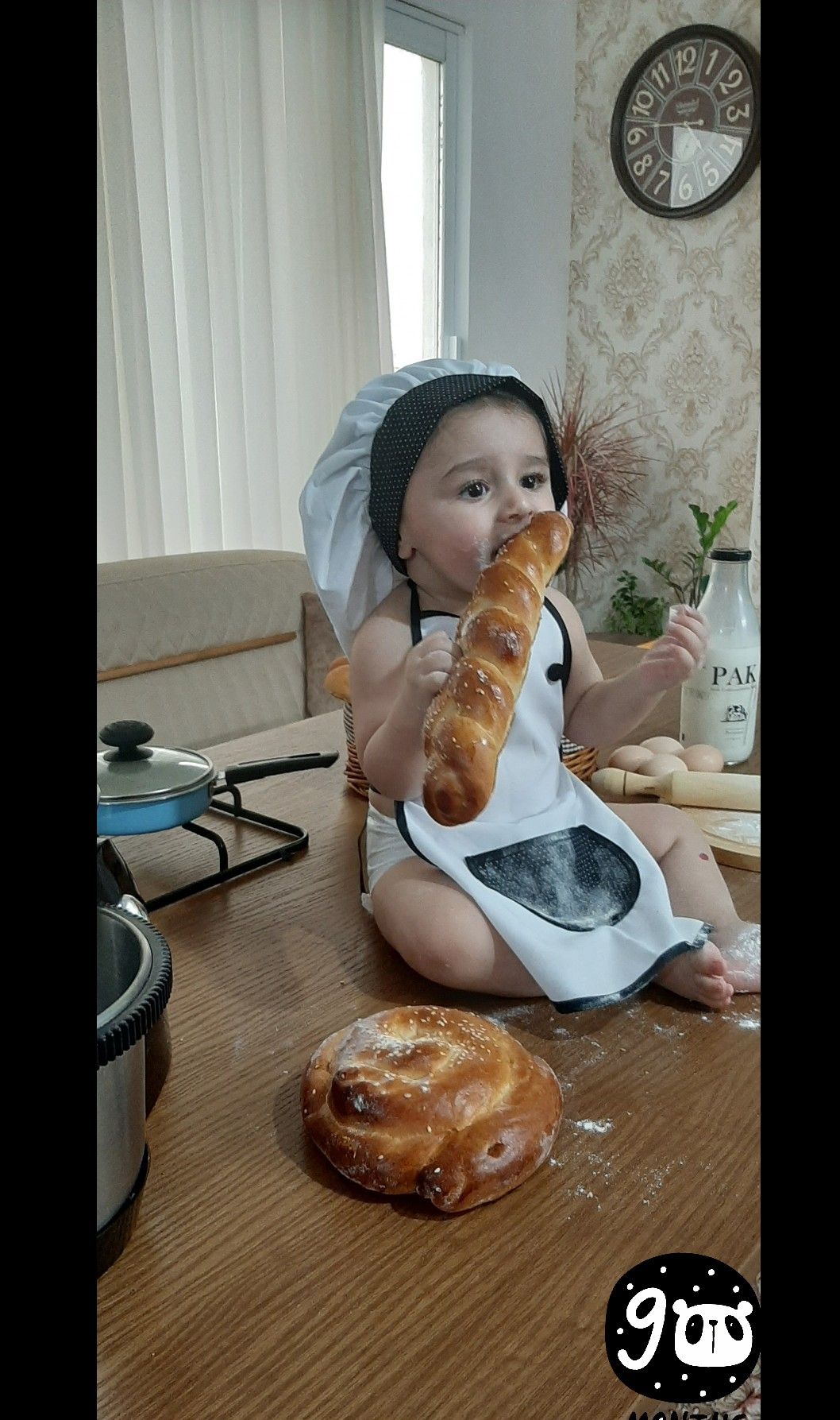 پاشیدن-آرد شاهرخ