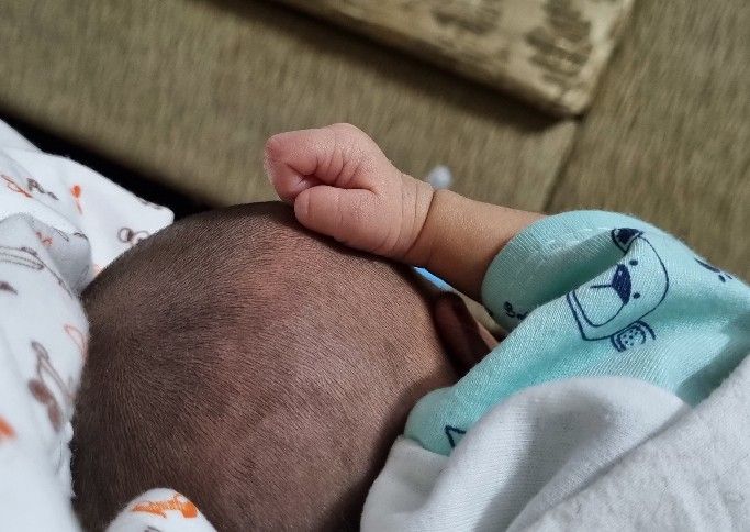 یازده-روزگی ریحانه