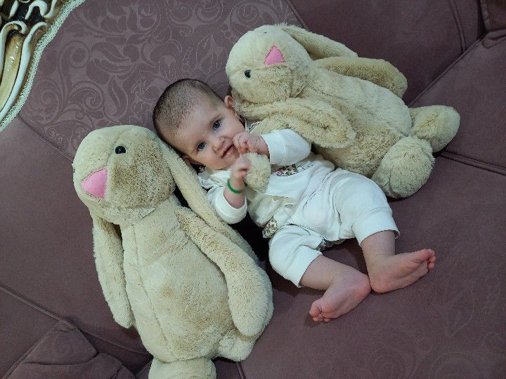 دل-آرا دل آرا دلیریان