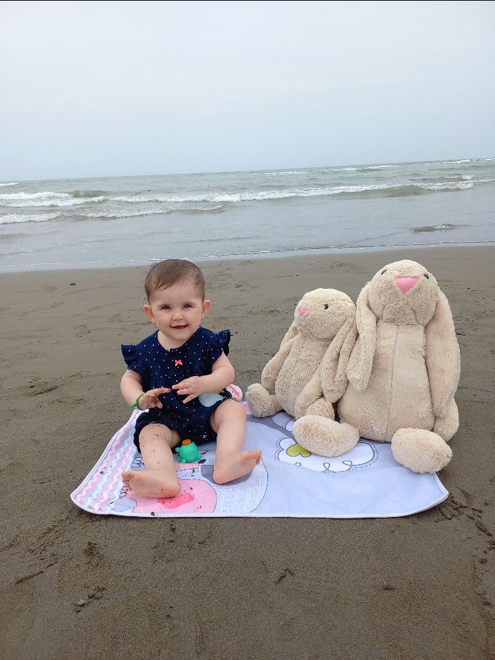 رامسر دل آرا دلیریان