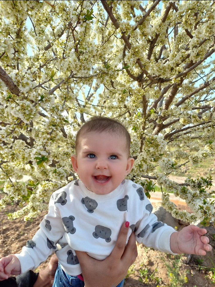 دل-آرا دل آرا دلیریان