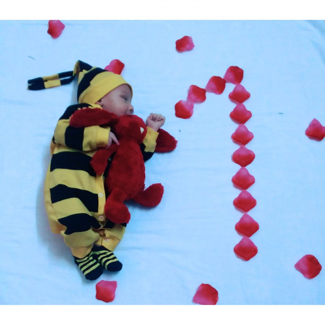 یک ماهگی نوزاد آرتام اسکندری