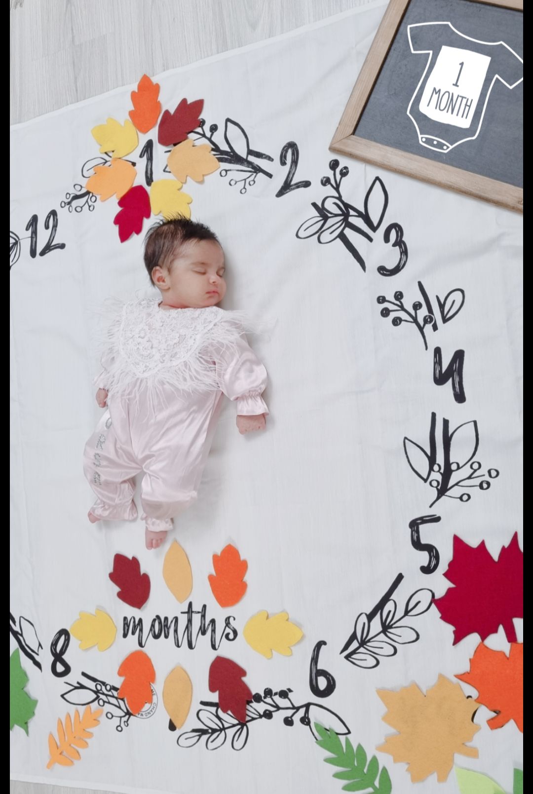 تم عکس پاییزی نوزاد هورسا گودرزی