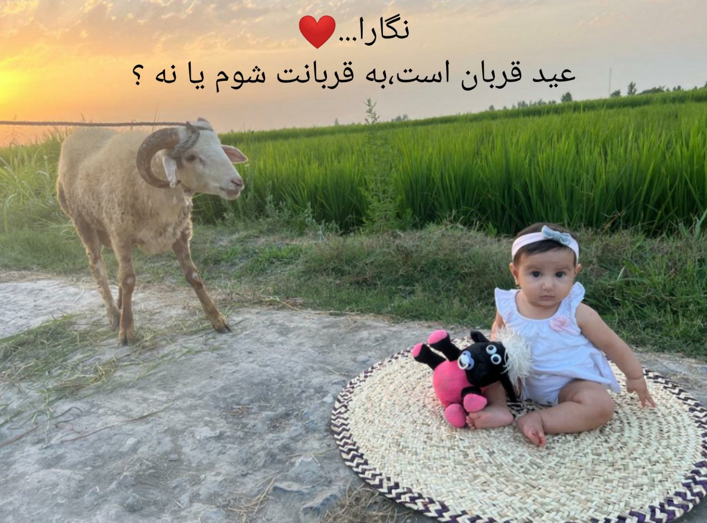 عید قربان مهرا مختاری