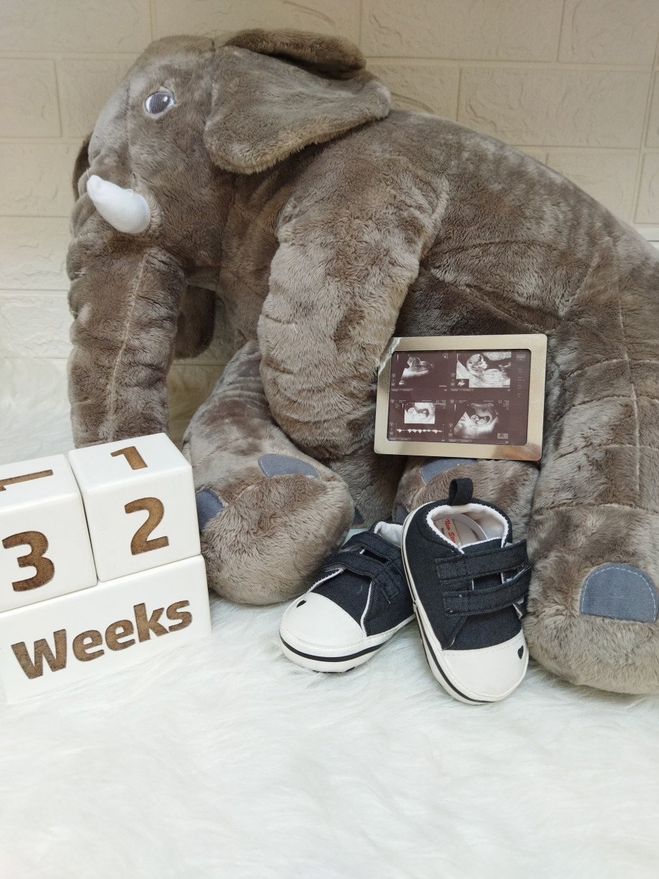 دفتر داستان بارداری طاها