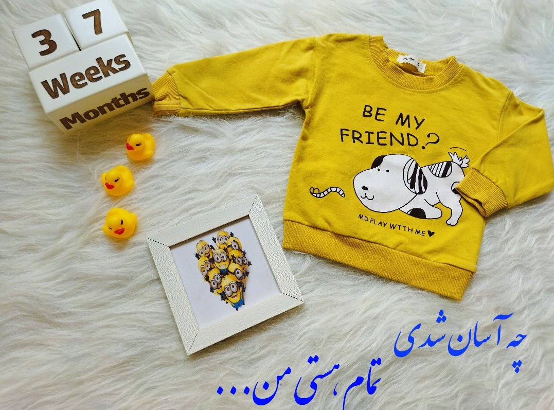 دفتر-داستان-بارداری-58064