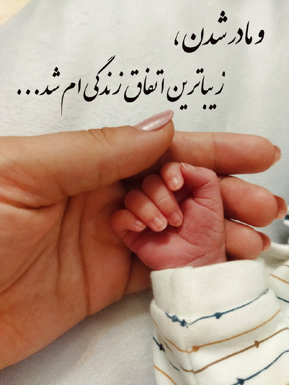 دفتر داستان بارداری طاها