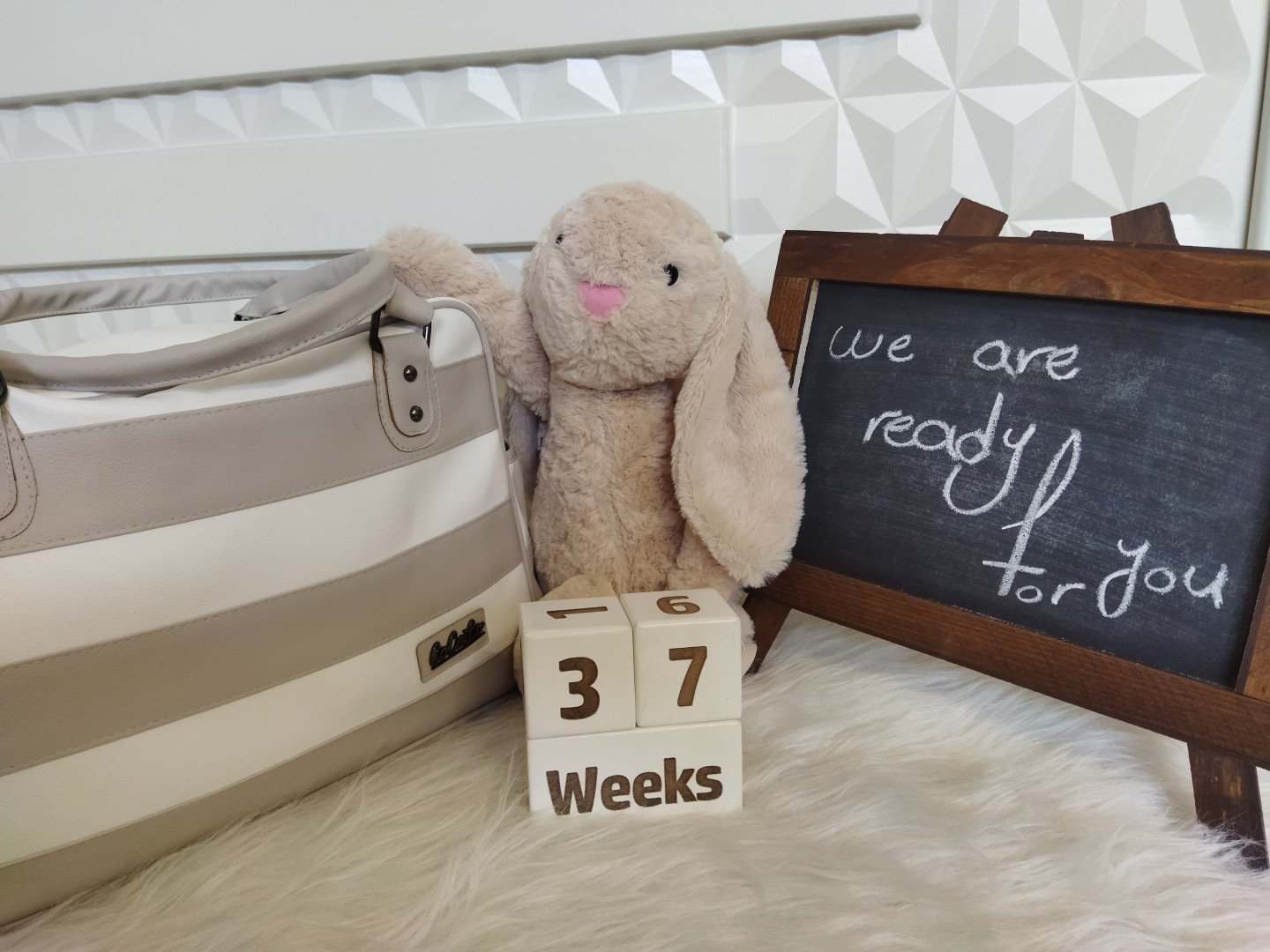 دفتر داستان بارداری طاها