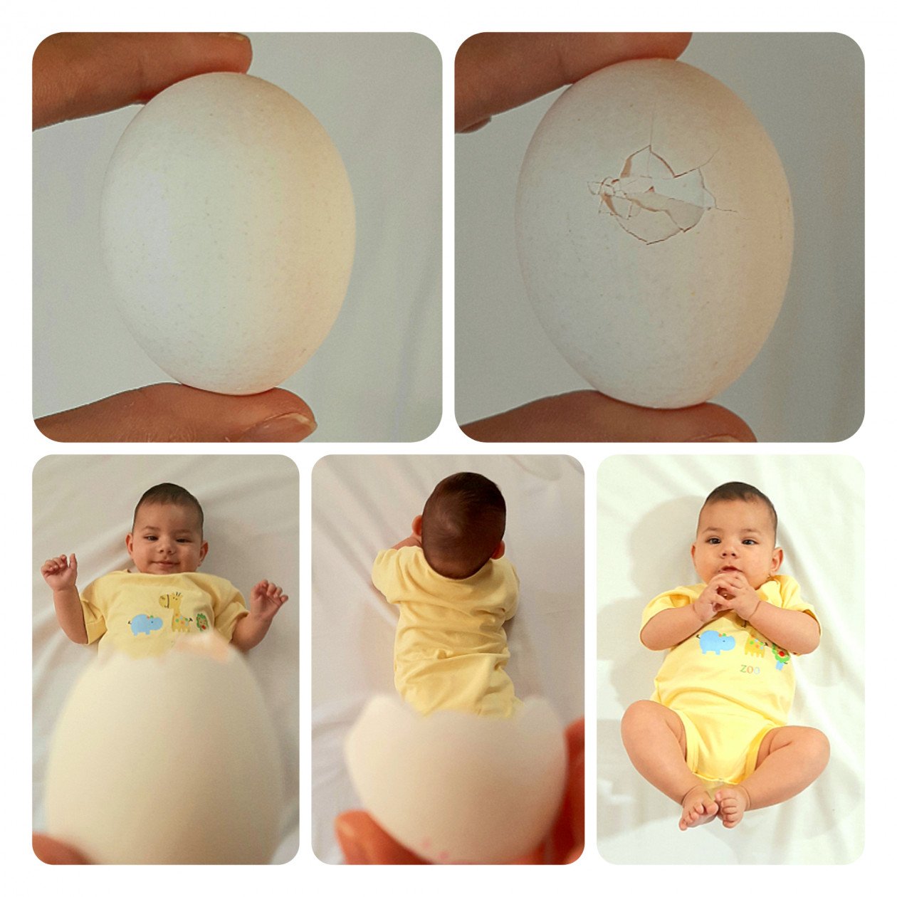 شروع غذای کمکی محمد مسیح جعفری