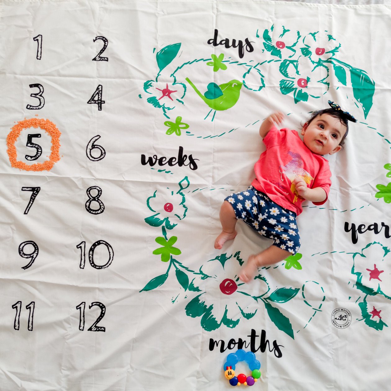 پنج ماهگی نوزاد نیکا نعمتی